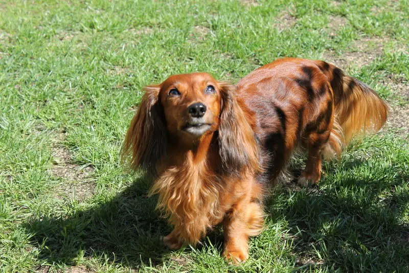 Bild von Maja