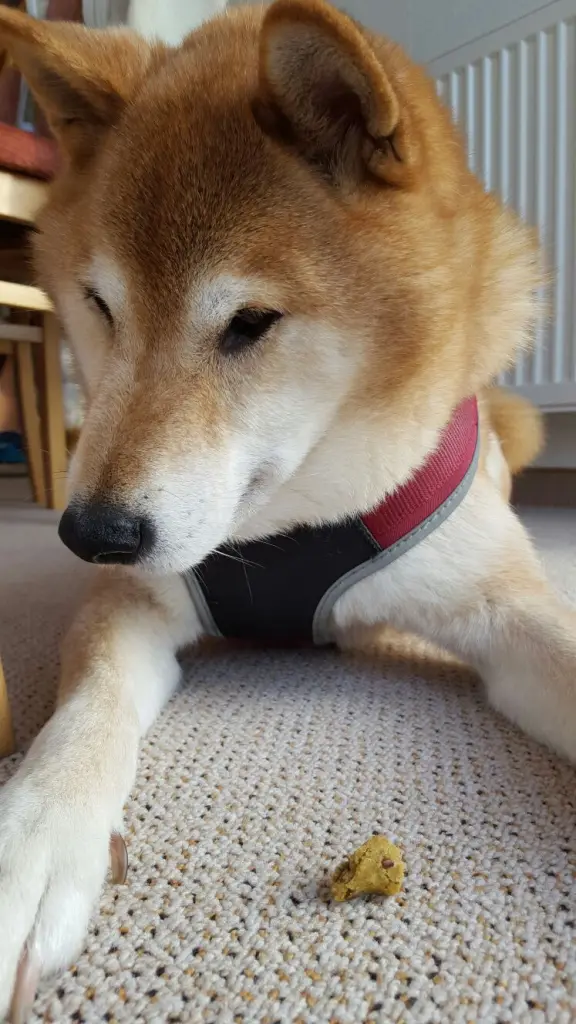Image from Balou