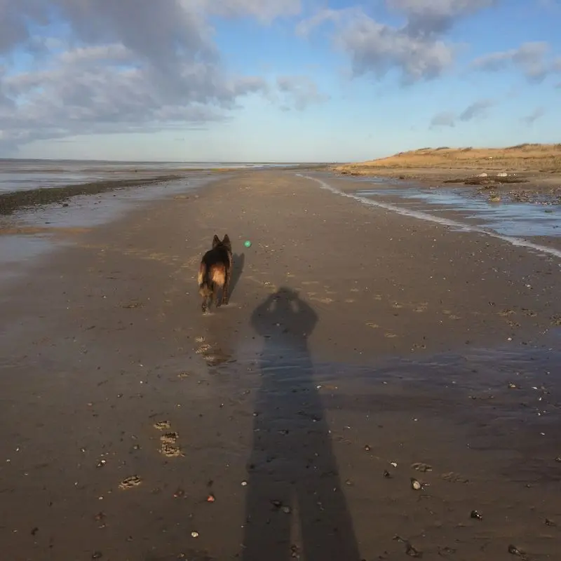 Image from Paul