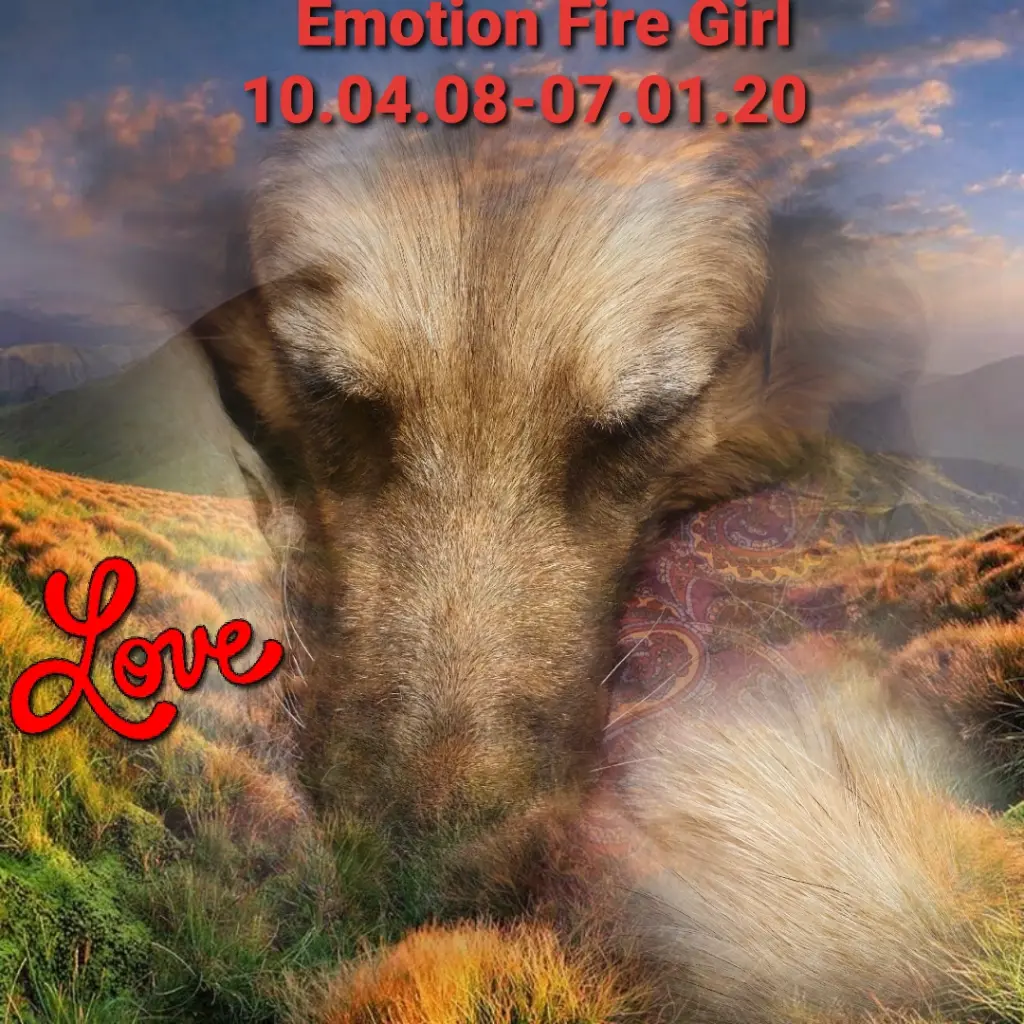 Image from Emotion Fire Girl