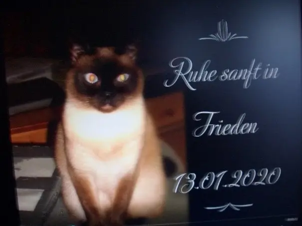Condolence image of Klaus
