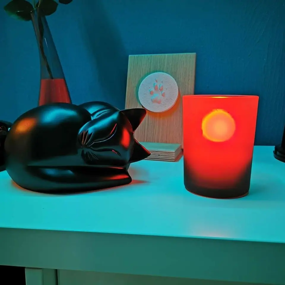 Image from Fee