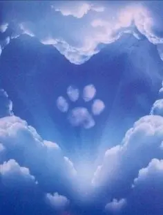 Condolence image of Sara