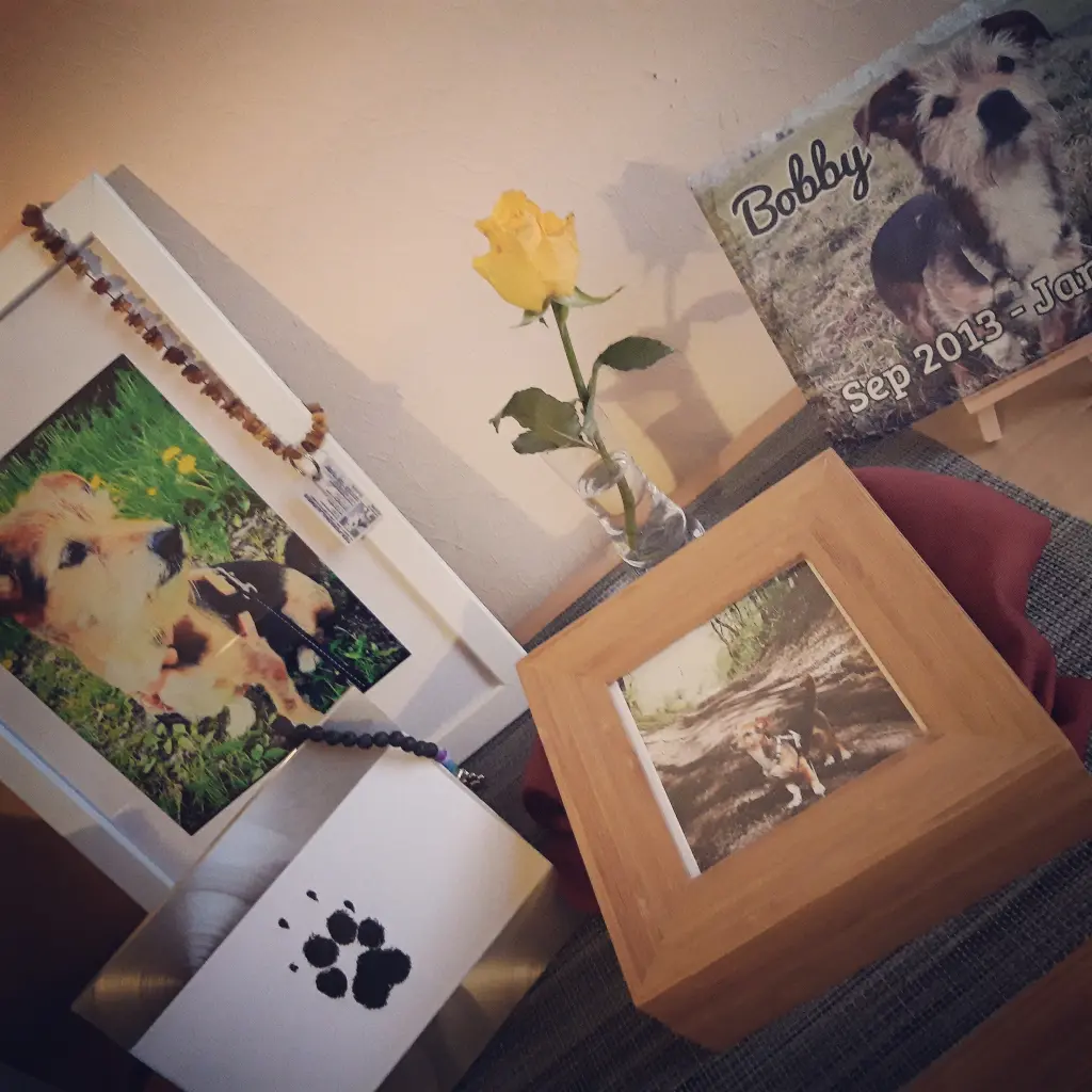 Condolence image of Deine Hunde Mutti