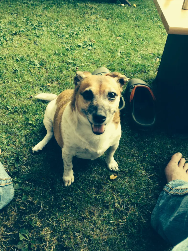 Image from Zoe