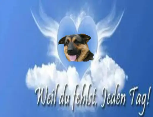 Condolence image of Unbekannt