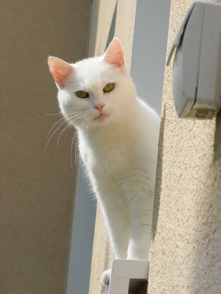 Condolence image of Thomas/Ulrike