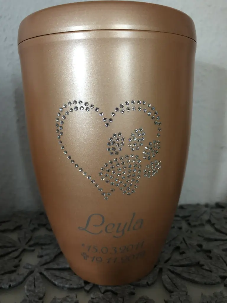 Image from Leyla