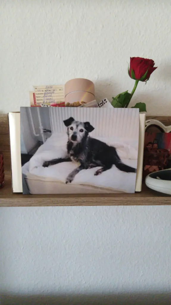 Image from Emmi