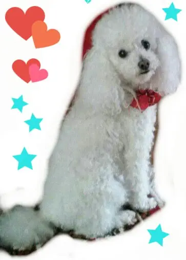 Andachtsbild von Angela mit Engel CHERI ❤⭐