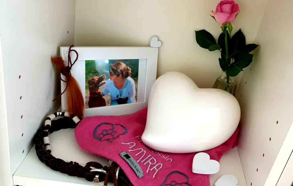 Image from Amira April