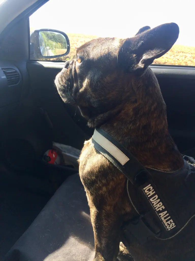 Image from Kalle