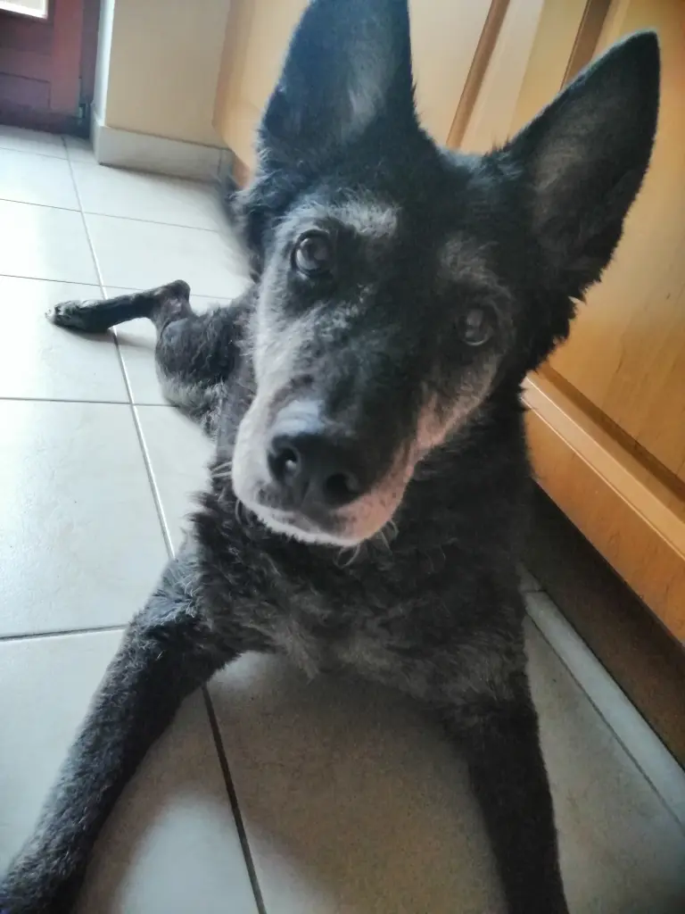Condolence image of Jenny