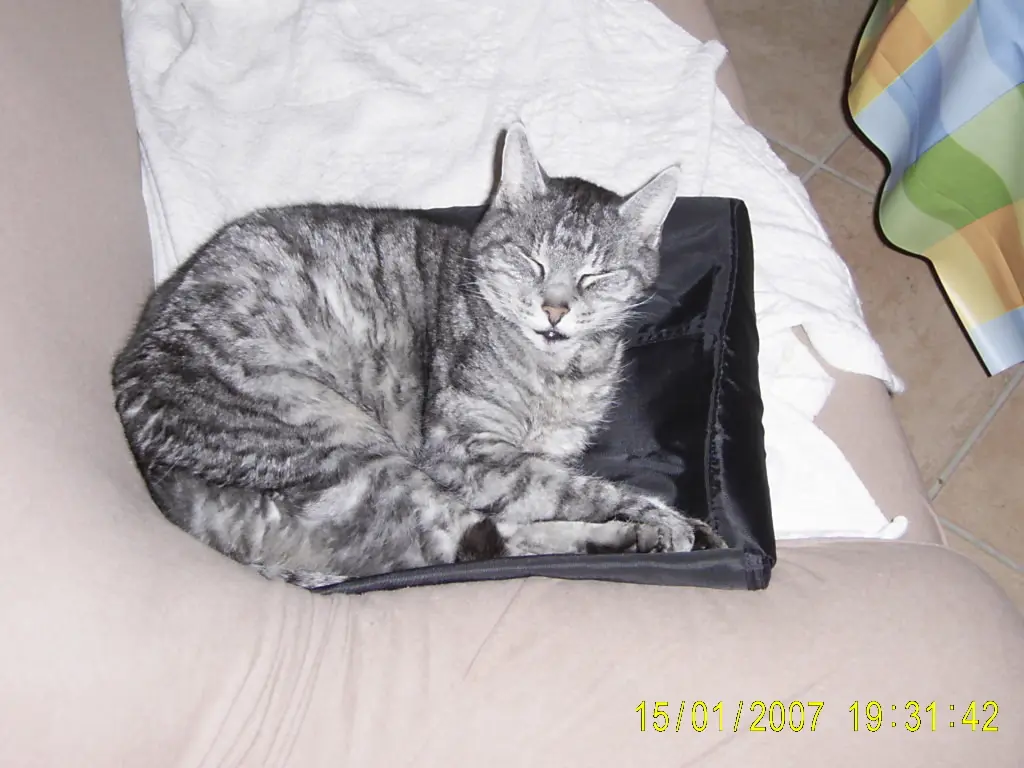 Condolence image of Michael