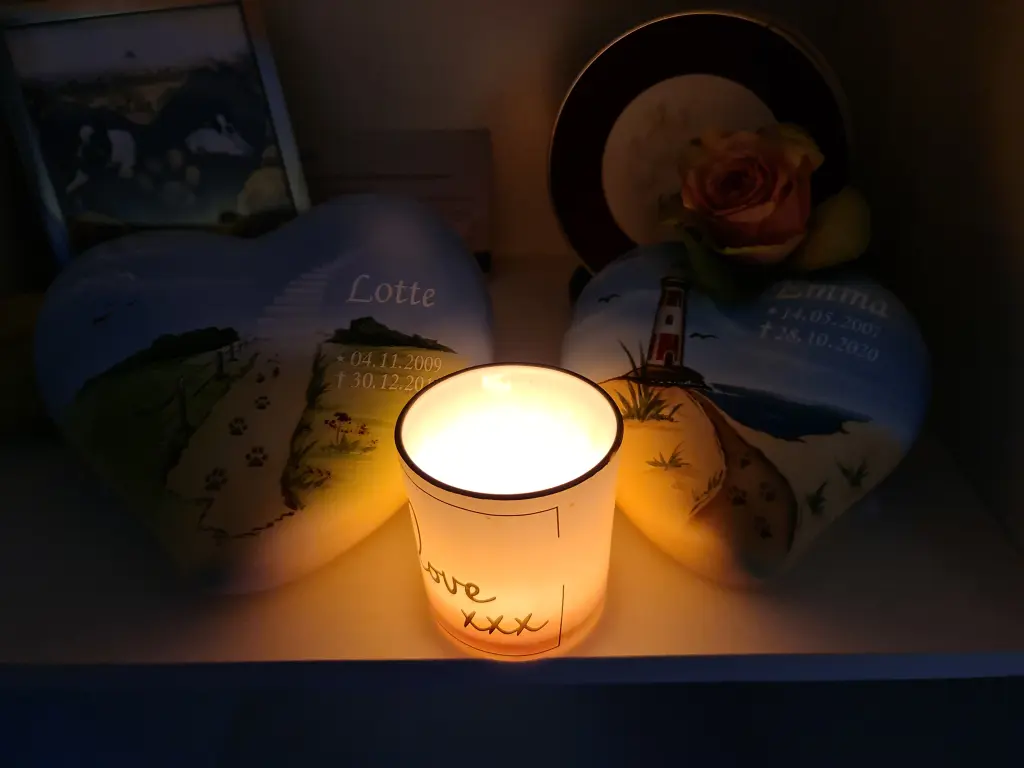 Condolence image of Carmen und Timmi
