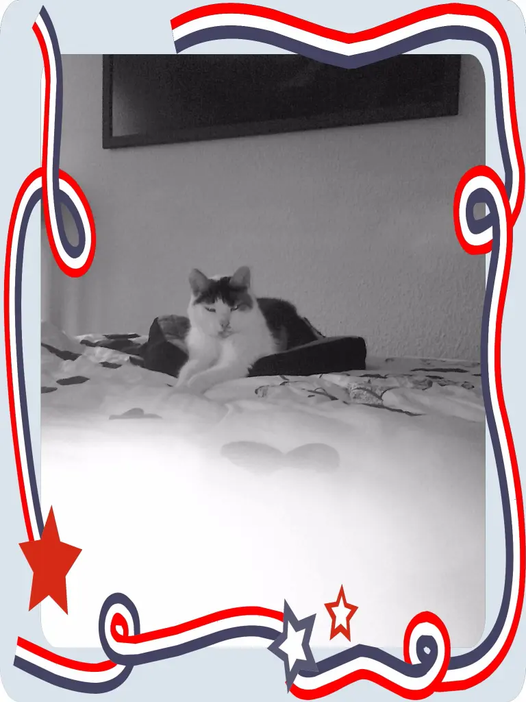 Andachtsbild von Alexandra und Missy