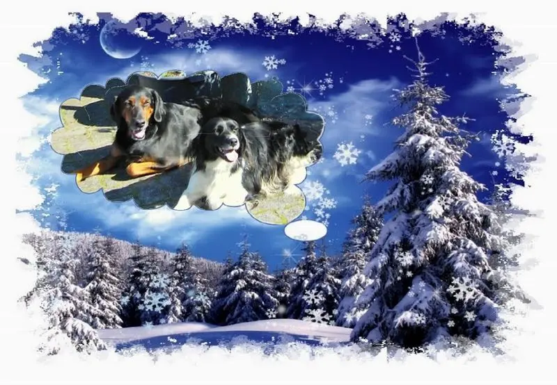 Andachtsbild von Brigitte mit Nelly, Benny und Axel im Herzen