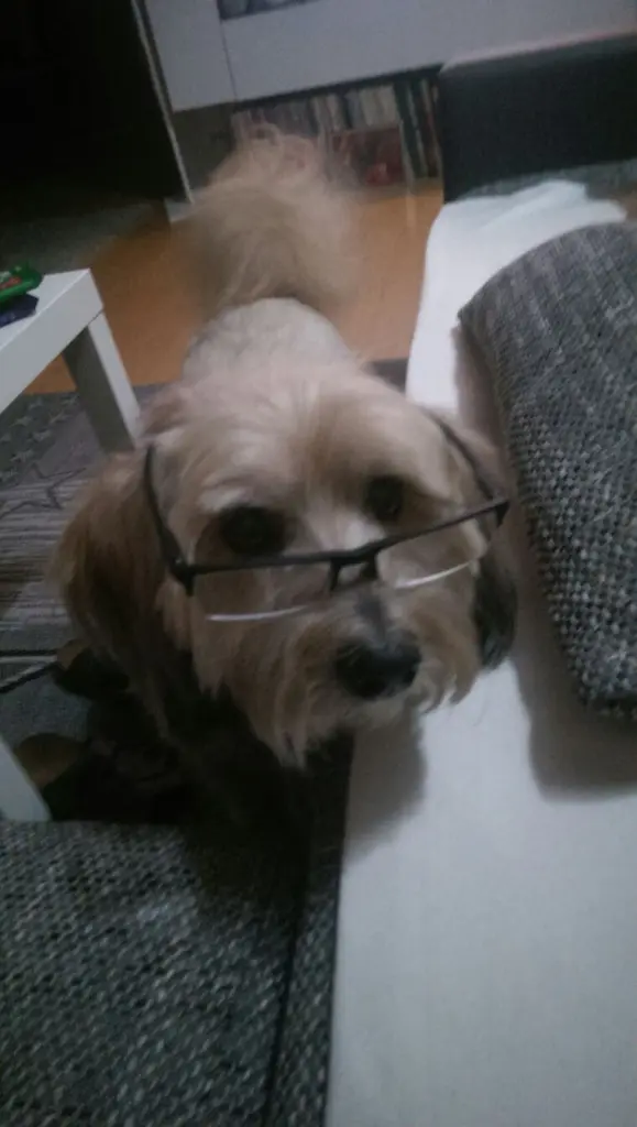 Bild von Balou