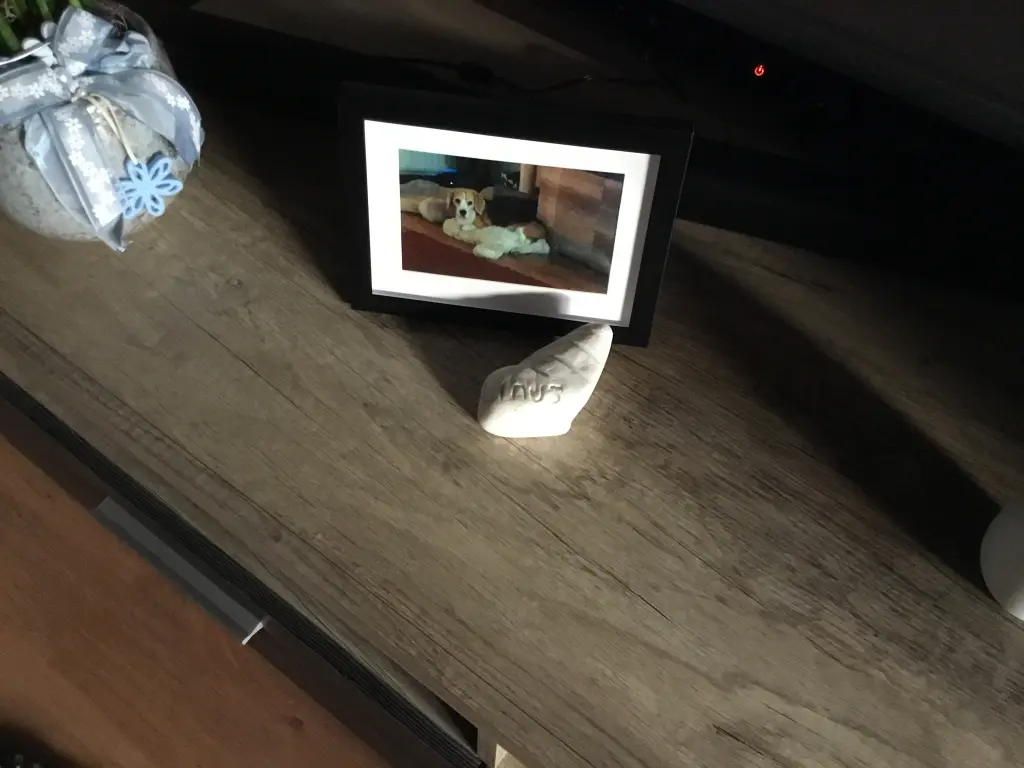 Condolence image of Anja