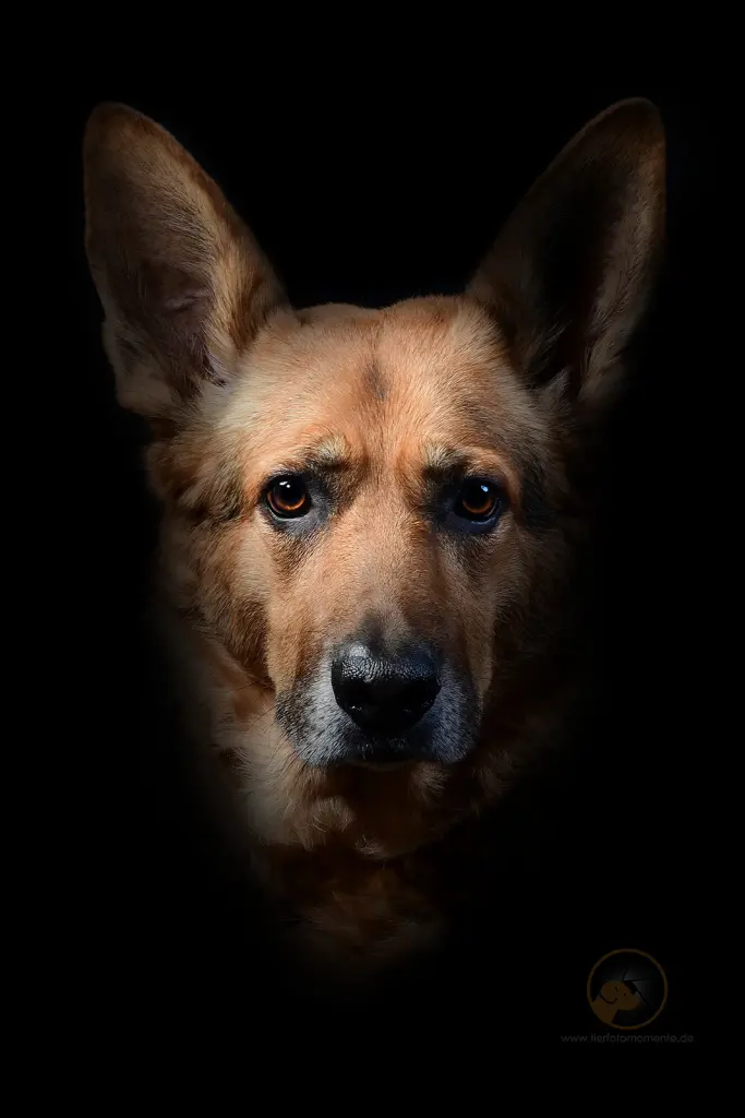 Image from Sandy