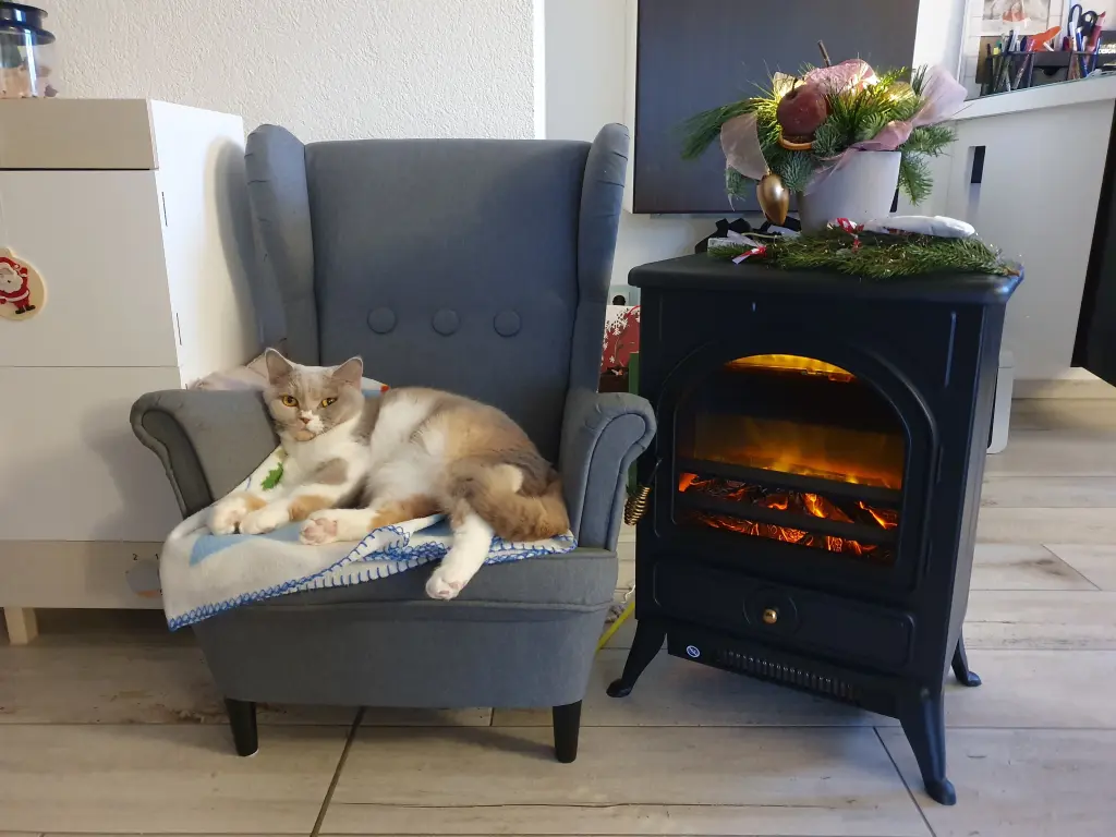 Condolence image of Ivonne mit Resi im Herzen