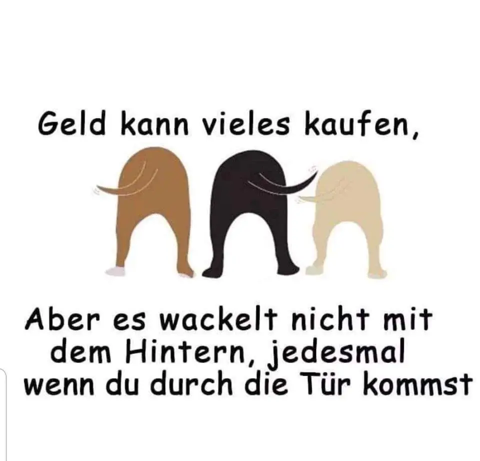 Image from Günter
