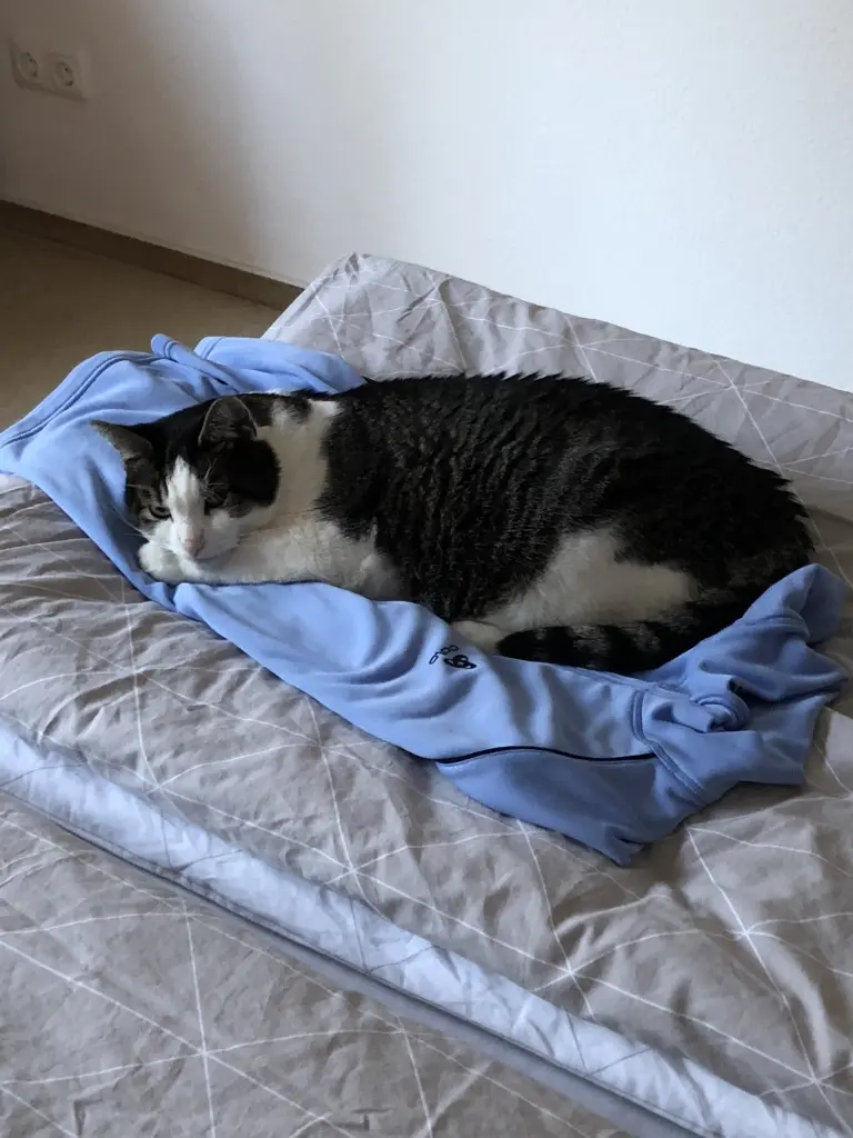 Condolence image of Petra mit Timmy tief im Herzen