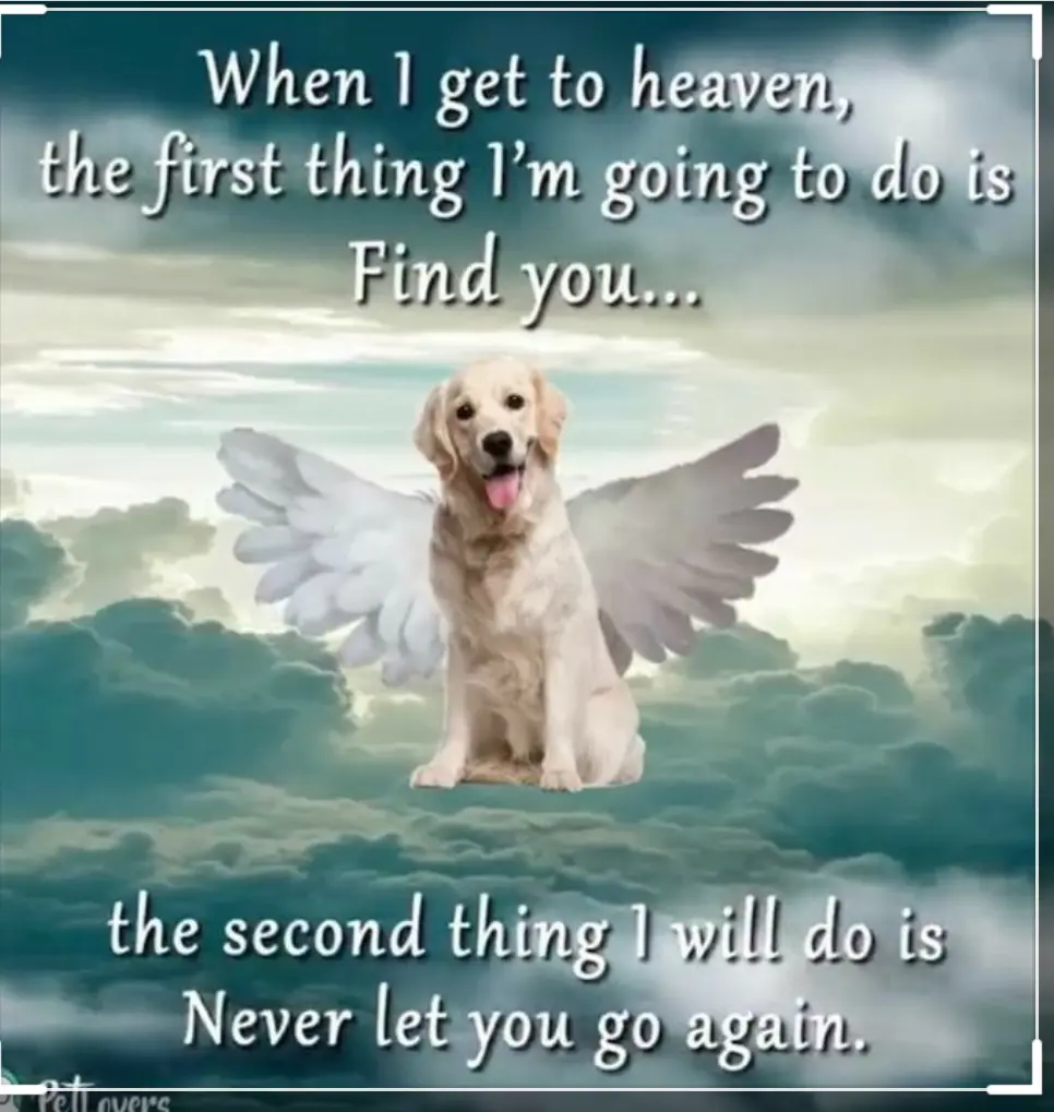 Condolence image of Patricia Peroni