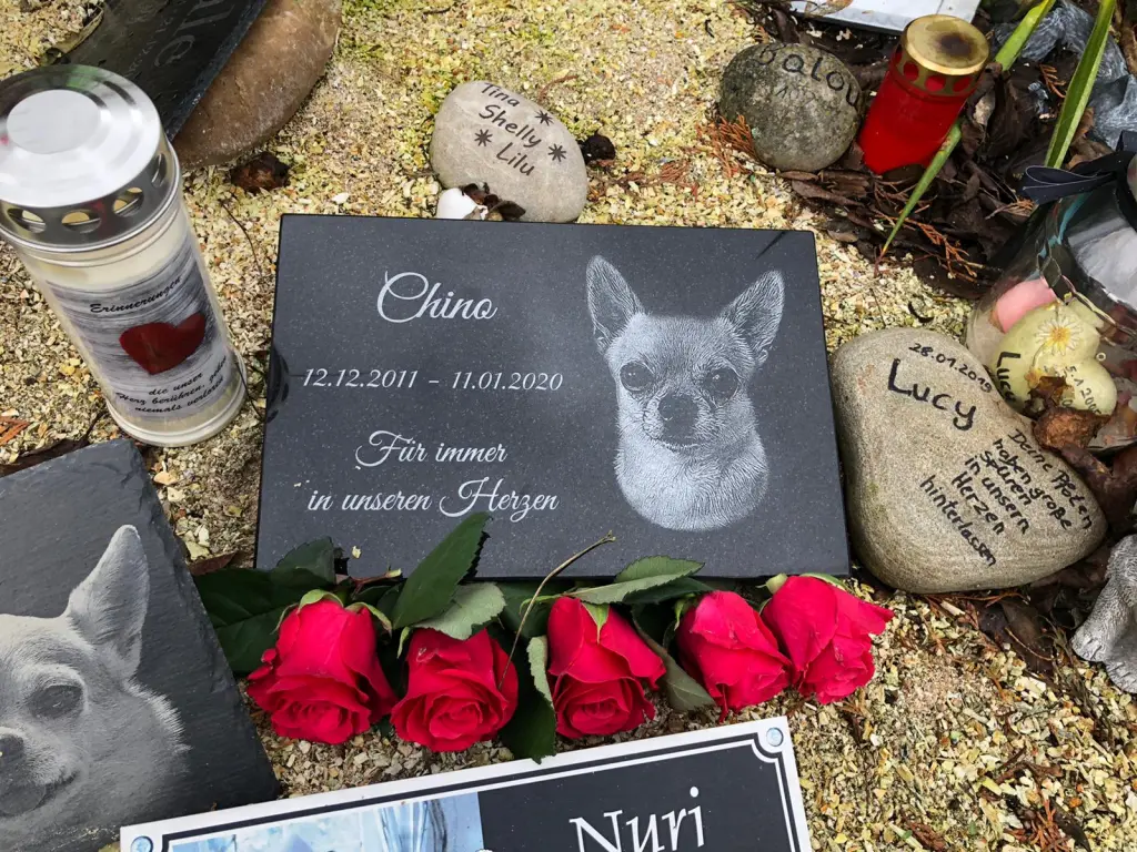 Condolence image of Hanna