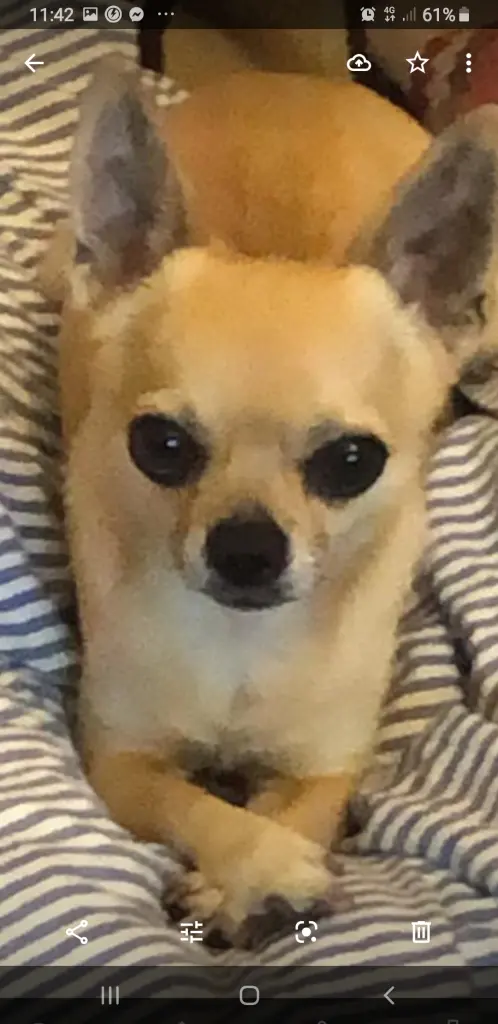 Condolence image of Hanna