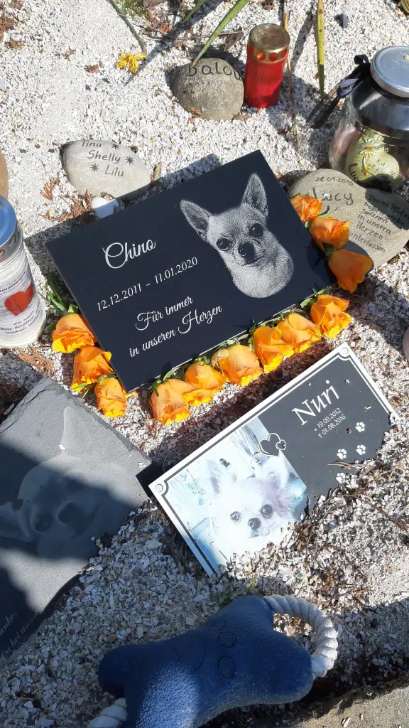 Condolence image of Unbekannt