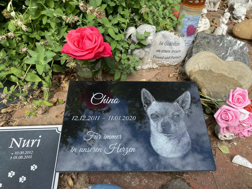 Condolence image of Sandra,Kevin