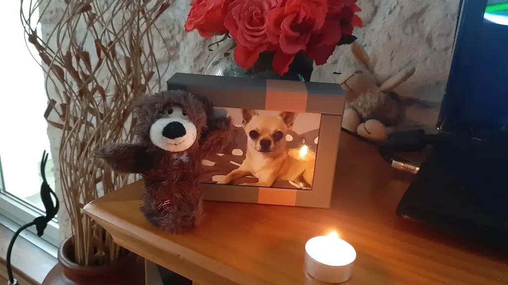 Condolence image of Hanna