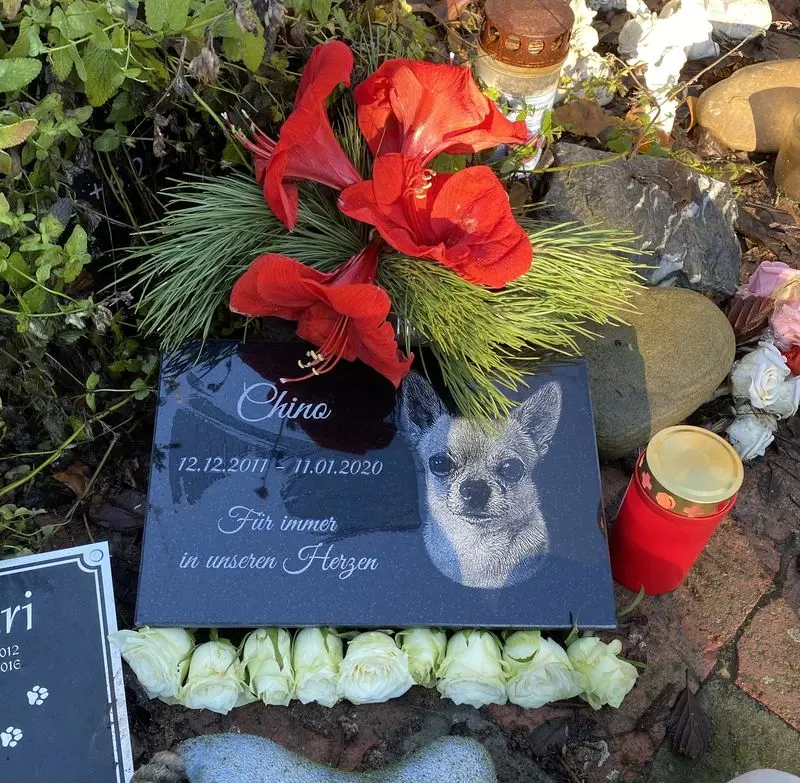 Condolence image of Familie von Chino
