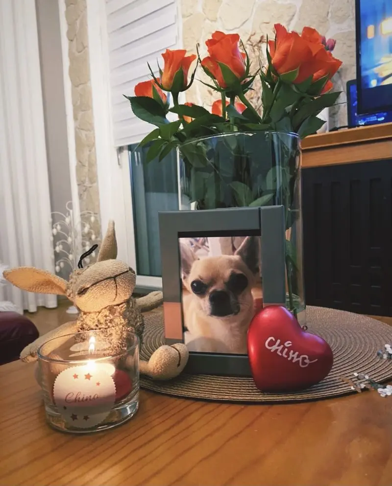 Condolence image of Chinos Familie