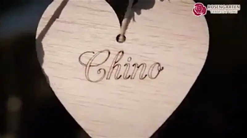 Condolence image of Chinos Familie