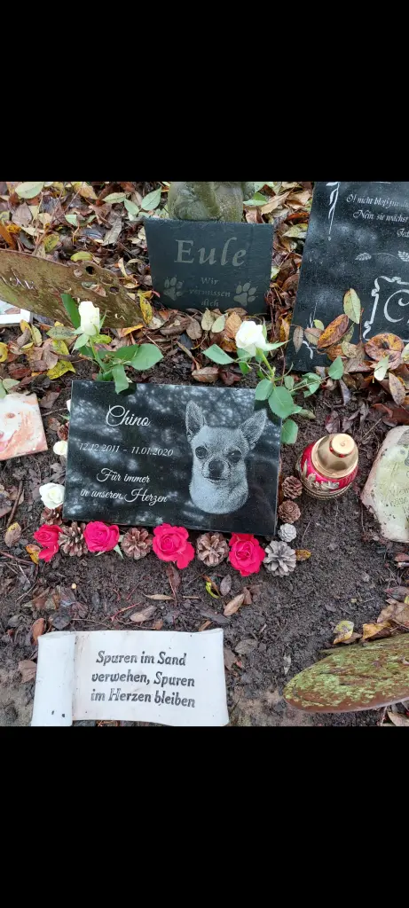 Condolence image of Fam.Koatrzewski