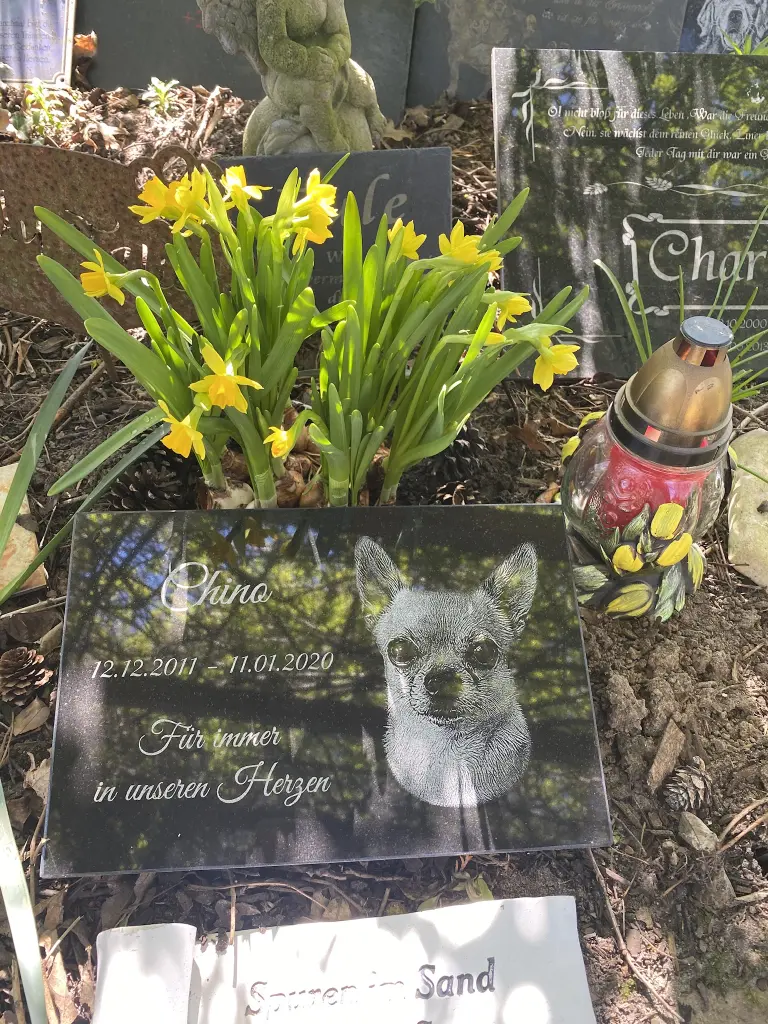 Condolence image of Chinos Familie