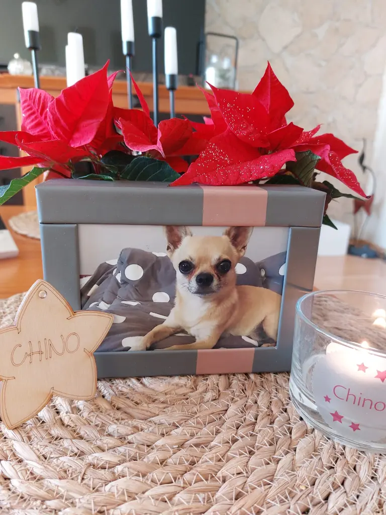 Condolence image of Chinos Familie 
