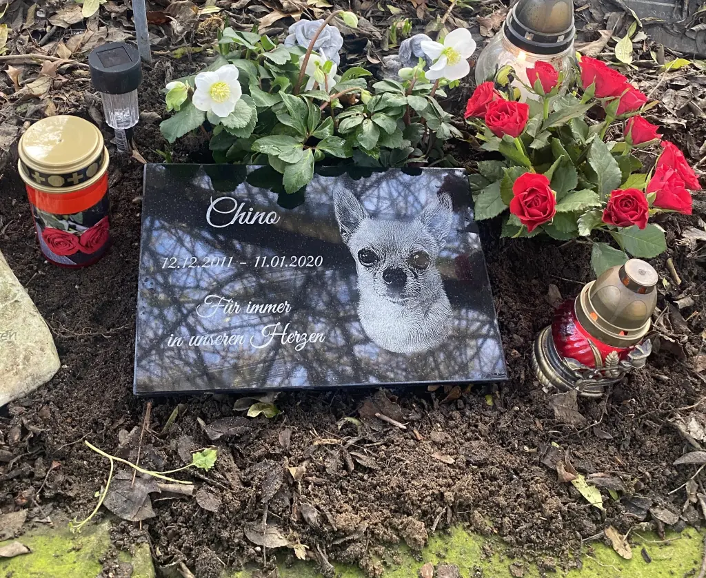 Condolence image of Chinos Familie 