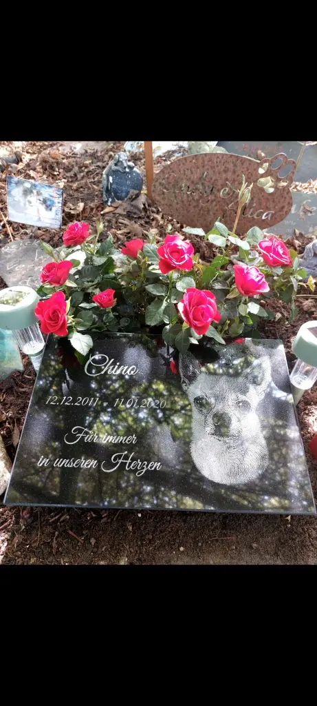 Condolence image of Hanna Norbert Sandra Kevin