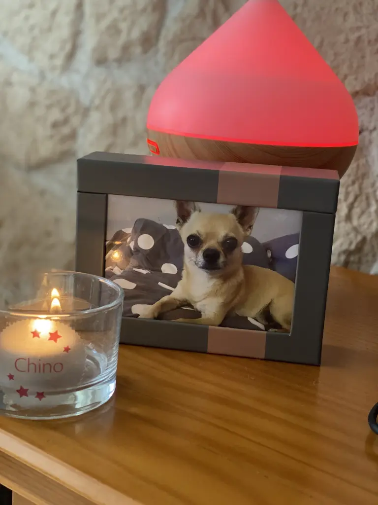 Condolence image of Chinos Familie 