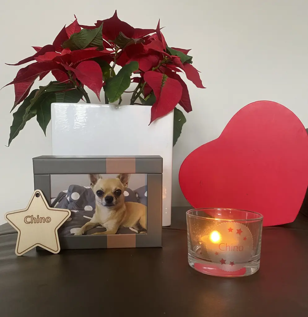 Condolence image of Chinos Familie 