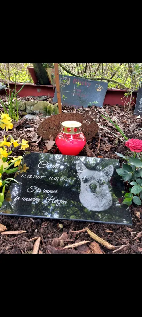 Condolence image of Familie