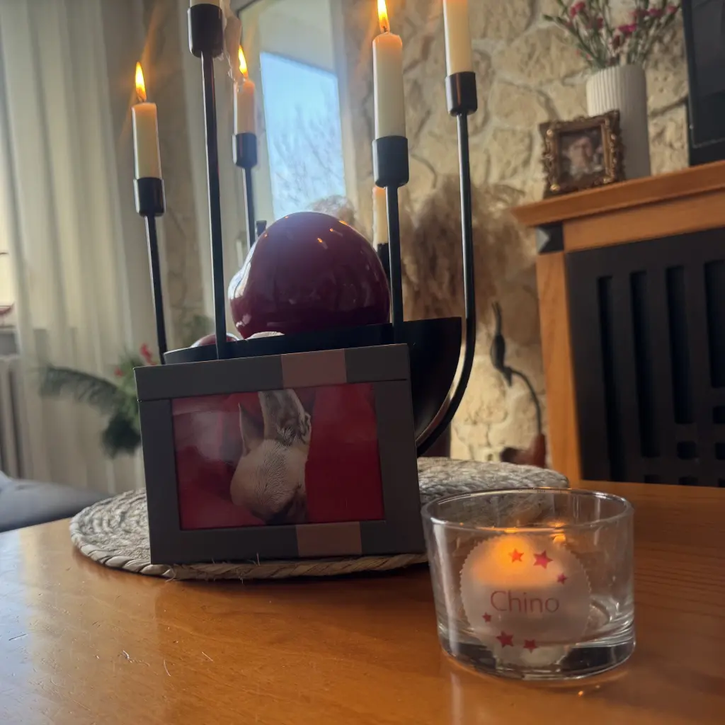 Condolence image of Chinos Familie
