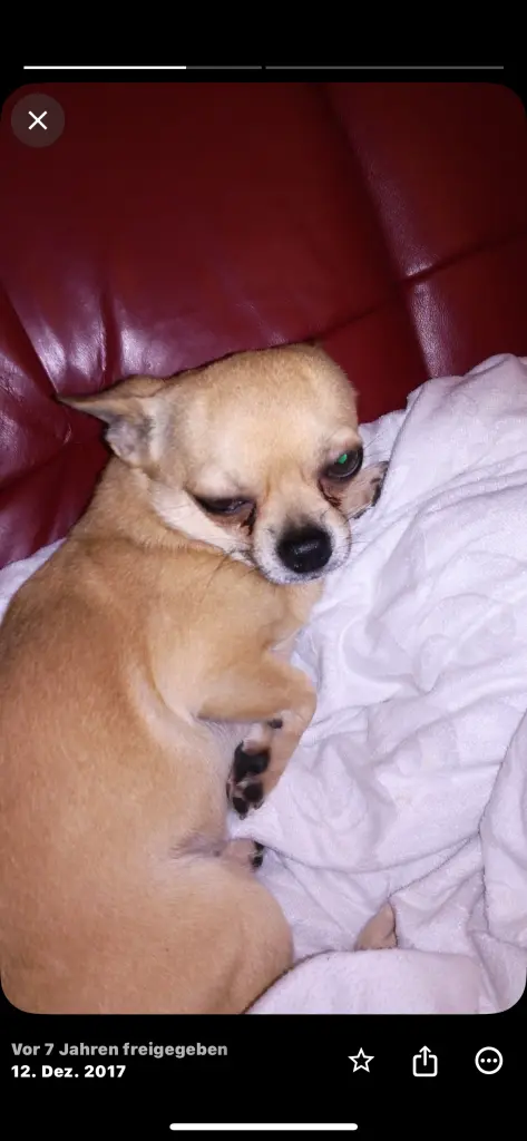 Condolence image of Hanna