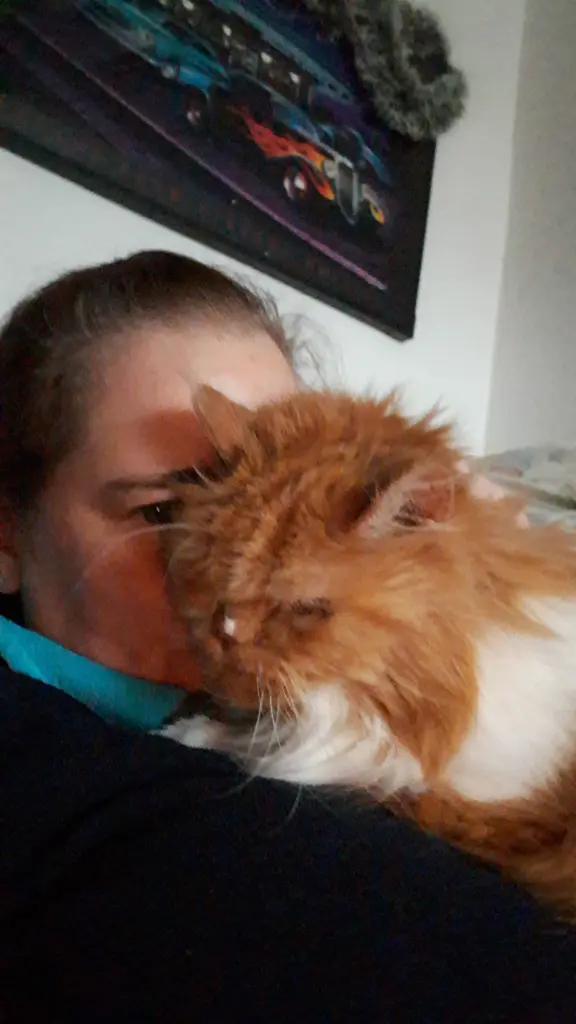 Condolence image of Yvonne mit Luzifer im ❤