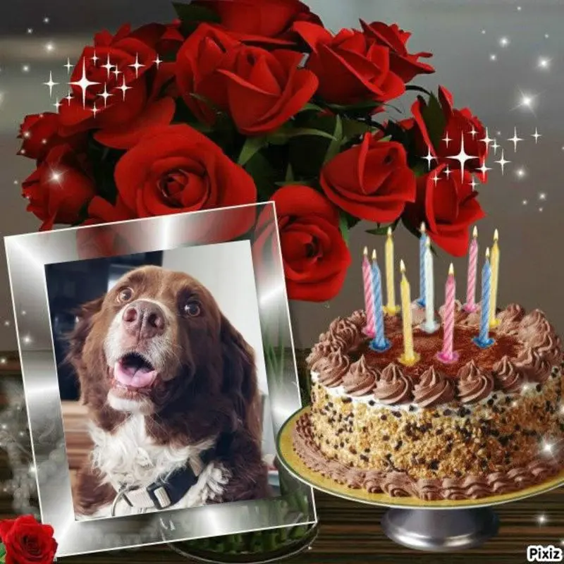 Condolence image of Happy Birthday ❤