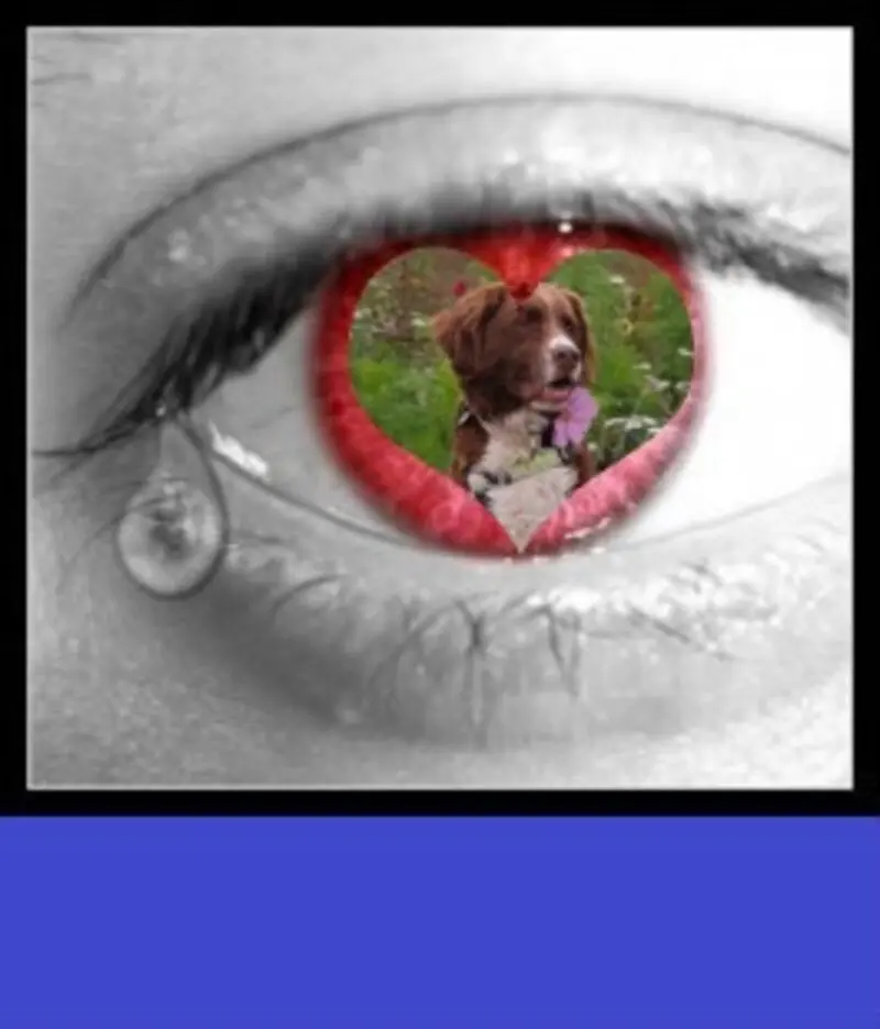 Condolence image of ❤️❤️❤️❤️❤️❤️❤️❤️❤️❤️❤️❤️❤️❤️