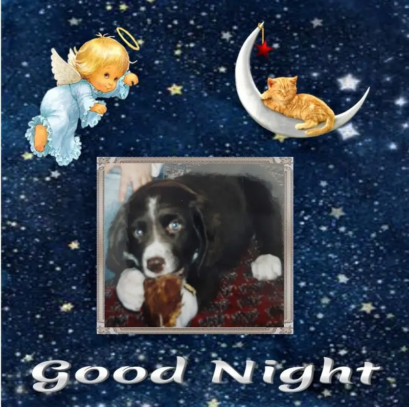 Condolence image of Gute Nacht❤️❤️❤️